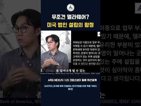 델라웨어 법인, 무조건 좋은 선택일까요?